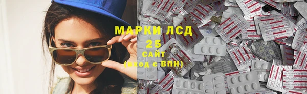 гашик Алексин