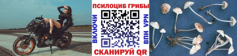 Псилоцибиновые грибы ЛСД  как найти   Димитровград 