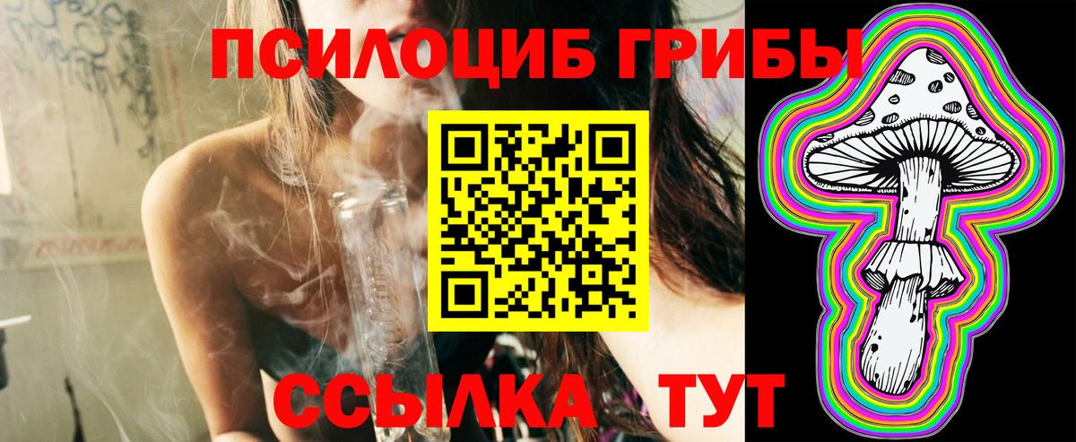 Псилоцибиновые грибы прущие грибы  Псилоцибиновые грибы мухоморы  Вход с VPN  Димитровград 