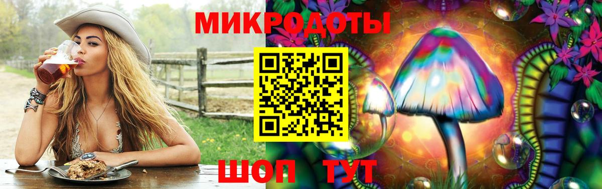 Галлюциногенные грибы ЛСД Димитровград